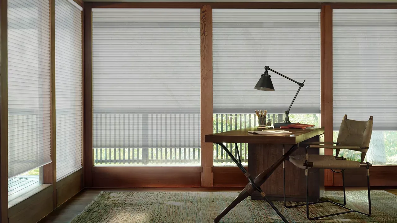 Motorized Shades